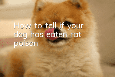 How to tell if your dog has eaten rat poison