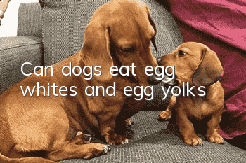 Can dogs eat egg whites and egg yolks?
