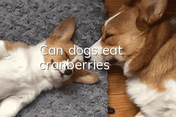 Can dogs eat cranberries?