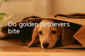 Do golden retrievers bite?