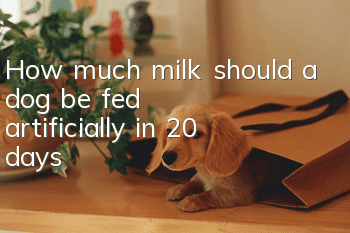 How much milk should a dog be fed artificially in 20 days?