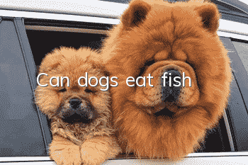 Can dogs eat fish?