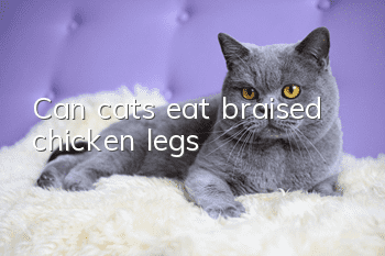 Can cats eat braised chicken legs?