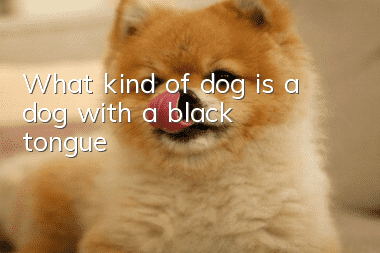 What kind of dog is a dog with a black tongue?