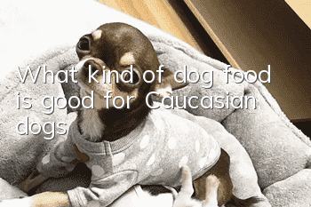 What kind of dog food is good for Caucasian dogs?