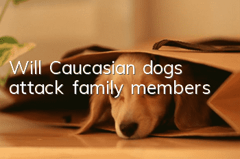 Will Caucasian dogs attack family members?