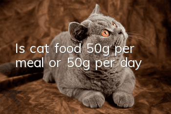 Is cat food 50g per meal or 50g per day?