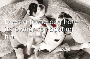 Does a horse dog hate its owner for beating him?