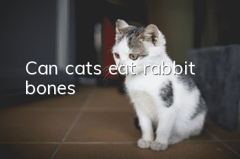 Can cats eat rabbit bones?