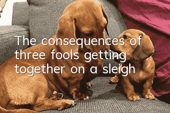 The consequences of three fools getting together on a sleigh