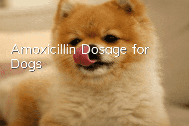 Amoxicillin Dosage for Dogs