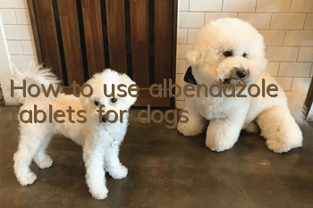 How to use albendazole tablets for dogs