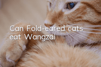 Can Fold-eared cats eat Wangzai?