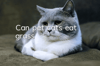 Can pet cats eat grass?