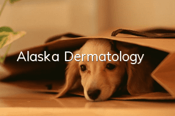 Alaska Dermatology