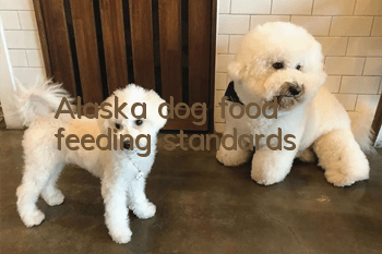 Alaska dog food feeding standards