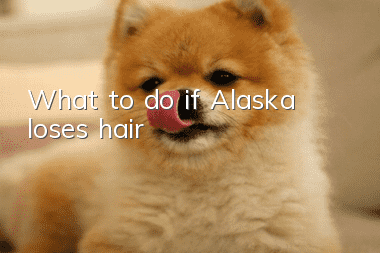 What to do if Alaska loses hair