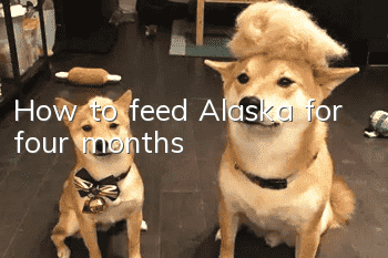 How to feed Alaska for four months