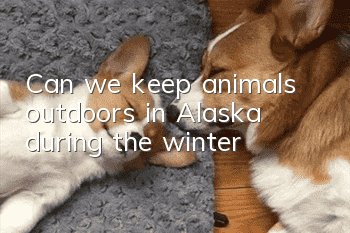 Can we keep animals outdoors in Alaska during the winter?
