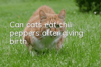 Can cats eat chili peppers after giving birth?