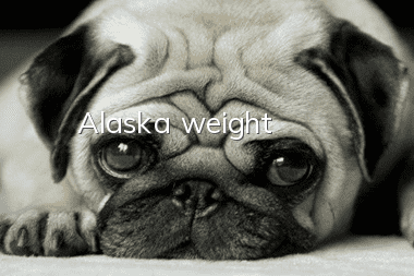 Alaska weight