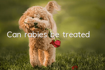 Can rabies be treated?
