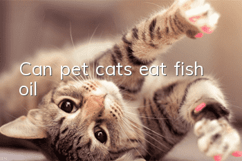 Can pet cats eat fish oil?
