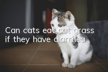 Can cats eat cat grass if they have diarrhea?