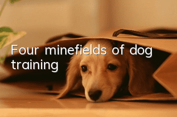 Four minefields of dog training