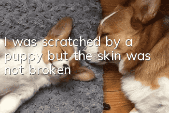 I was scratched by a puppy but the skin was not broken