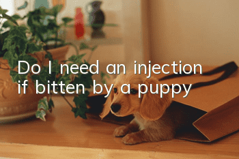 Do I need an injection if bitten by a puppy?