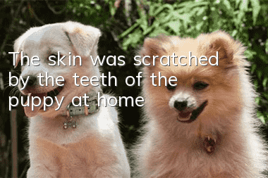 The skin was scratched by the teeth of the puppy at home