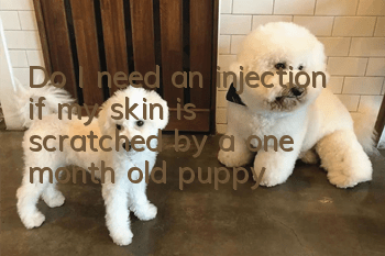 Do I need an injection if my skin is scratched by a one month old puppy?