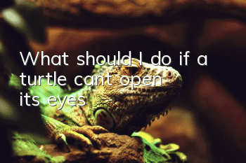 What should I do if a turtle can't open its eyes?
