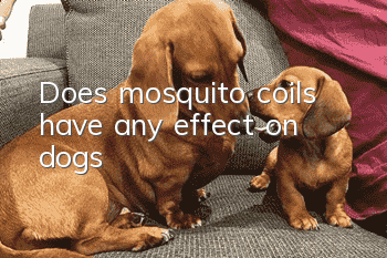 Does mosquito coils have any effect on dogs?