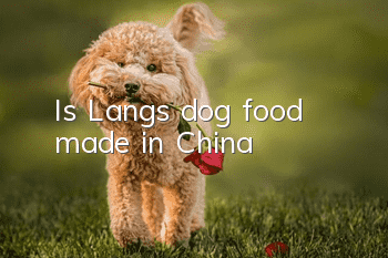 Is Lang’s dog food made in China?