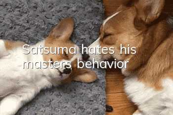 Satsuma hates his master's behavior