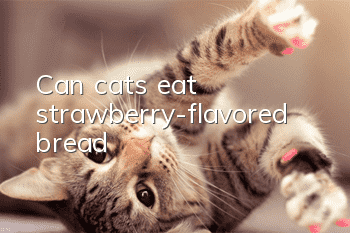 Can cats eat strawberry-flavored bread?