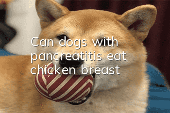 Can dogs with pancreatitis eat chicken breast?