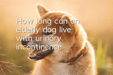 How long can an elderly dog live with urinary incontinence?