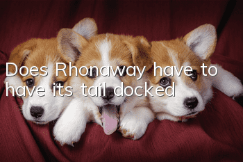 Does Rhonaway have to have its tail docked?