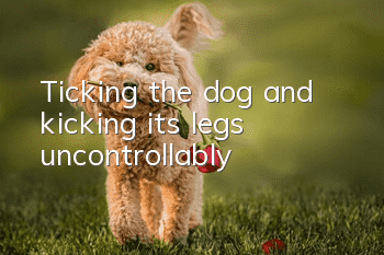 Ticking the dog and kicking its legs uncontrollably