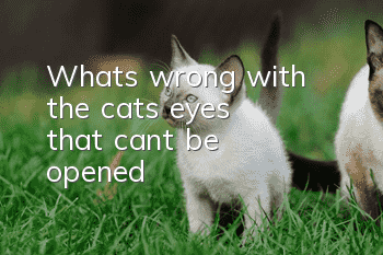 What's wrong with the cat's eyes that can't be opened?