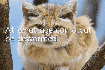 At what age can a cat be dewormed?