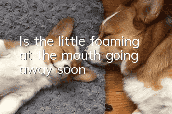 Is the little foaming at the mouth going away soon?