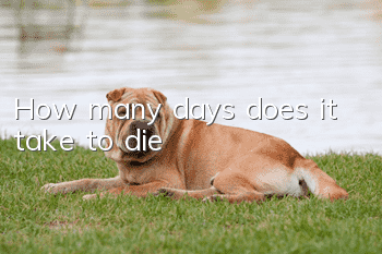 How many days does it take to die?