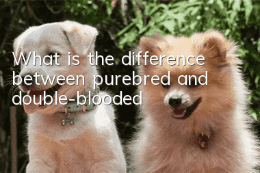 What is the difference between purebred and double-blooded?