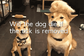 Will the dog die if the tick is removed?