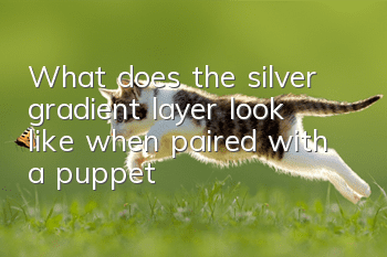What does the silver gradient layer look like when paired with a puppet?