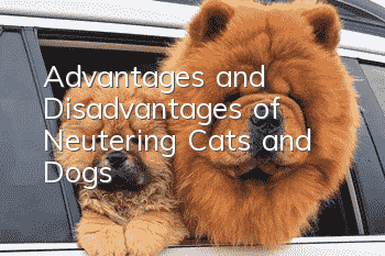 Advantages and Disadvantages of Neutering Cats and Dogs
